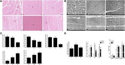 Role of arginine supplementation on muscular metabolism and flesh quality of Pacific white shrimp (Litopenaeus vannamei) reared in freshwater